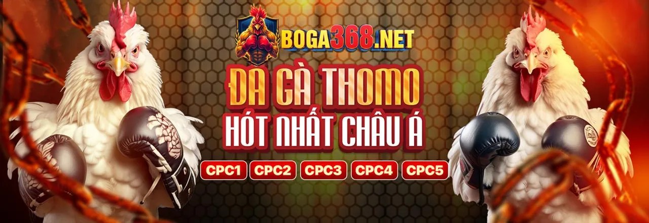 Đá Gà Trực Tuyến bkwin game