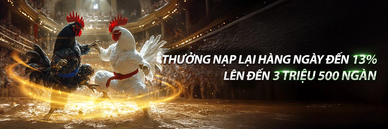 Sân vận động bóng đá với khán giả cuồng nhiệt, thể hiện sự sôi động của cá cược thể thao bkwin game